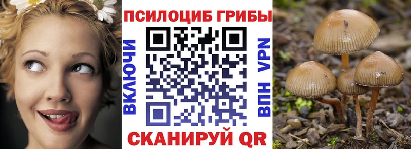 Купить закладки  Сухой Лог  Галлюциногенные грибы мицелий 